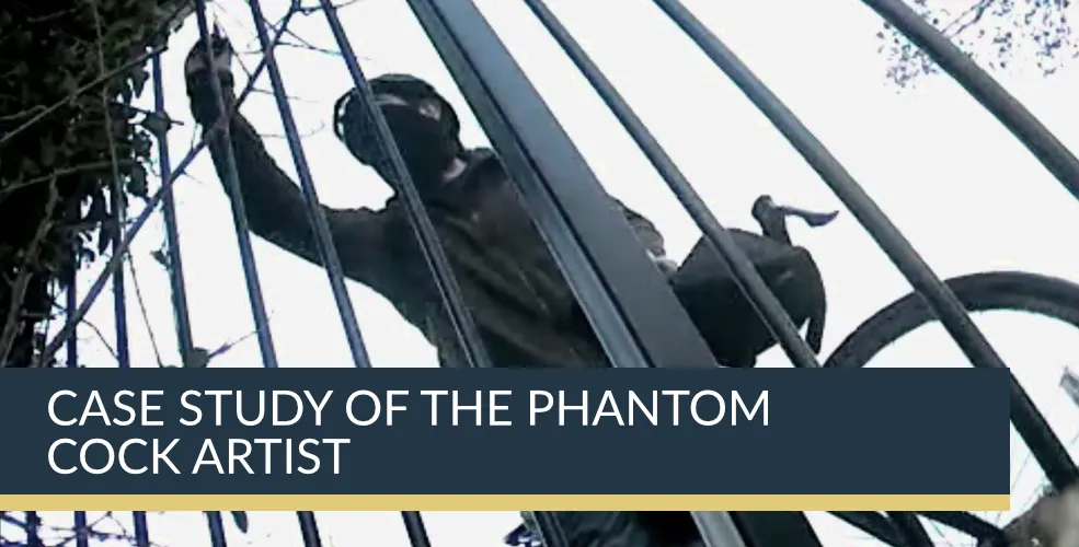 Case Study of the Phantom Cock Artist | Titan Investigations